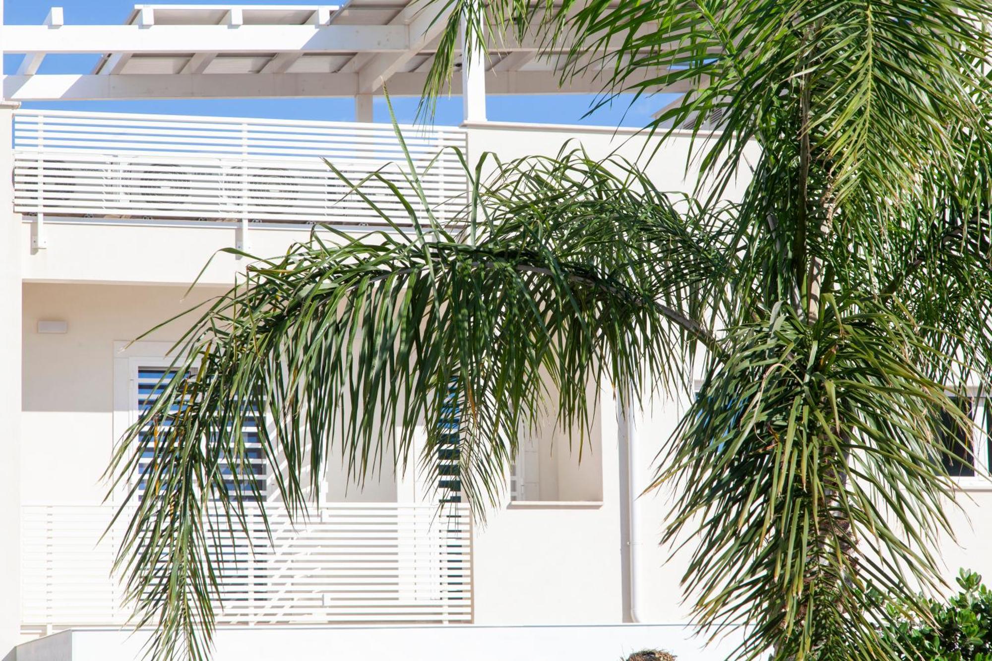 Dimora Nesea Bed & Breakfast Cozze ภายนอก รูปภาพ